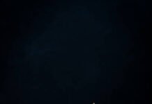 A Guide to Healthy and Balanced Sandwich Meats Burgers Near Me