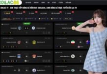 The Global Impact Of Digital Media On Football Passion Quality Standards For Online Viewing